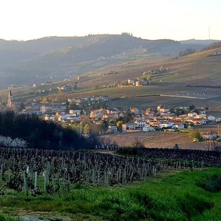 Апартаменты Au Coeur Des Vignes Chenas Du Beaujolais La Chapelle-de-Guinchay Экстерьер фото