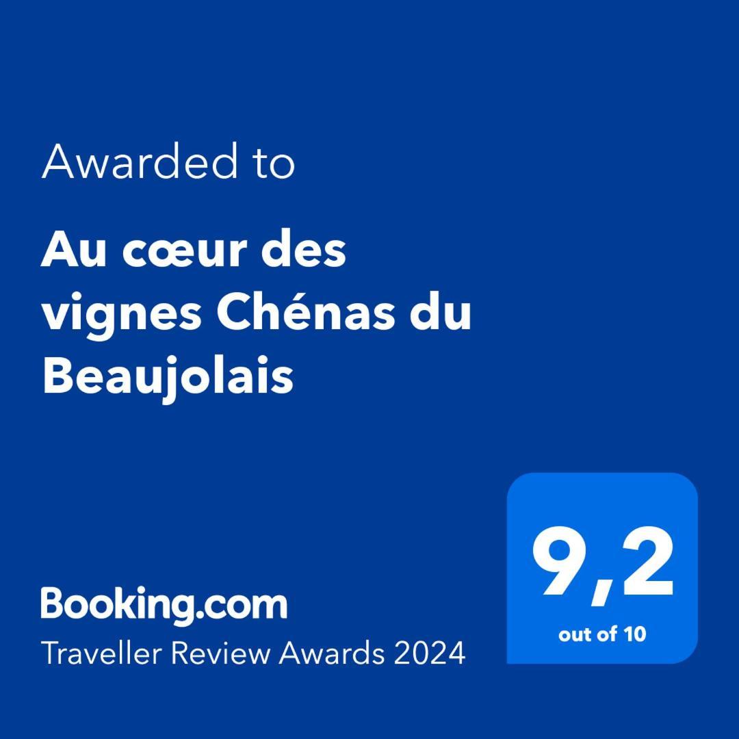 Апартаменты Au Coeur Des Vignes Chenas Du Beaujolais La Chapelle-de-Guinchay Экстерьер фото